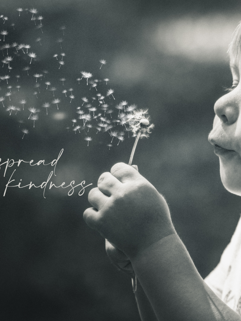 Parole gentili, rivoluzioni silenziose