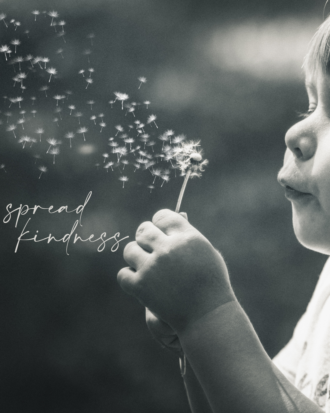 Parole gentili, rivoluzioni silenziose